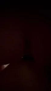 女朋友喝完酒无套强上我