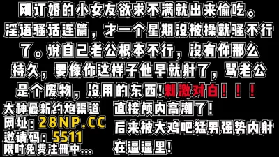 【完整版88分钟已上传简阶